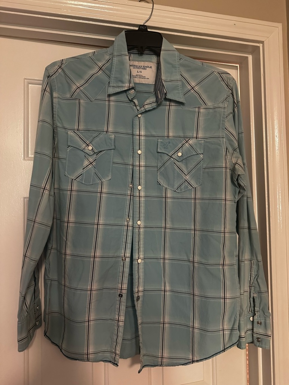 American Eagle Outfitters Light Teal Plaid Long-Sleeve Button-Down Shirt